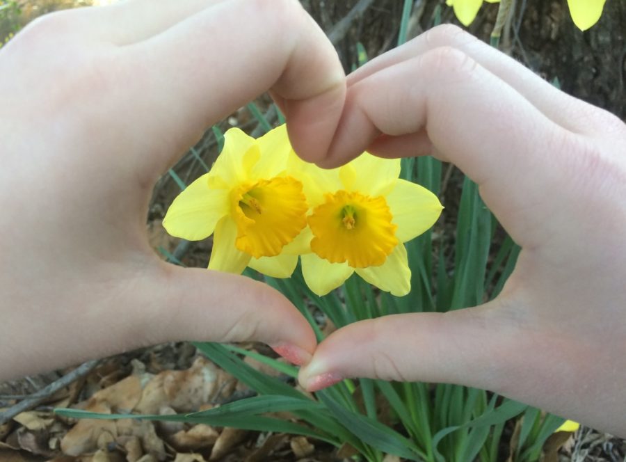 Students will spend spring break in a variety of ways, from fun in the sun to celebrating love. 