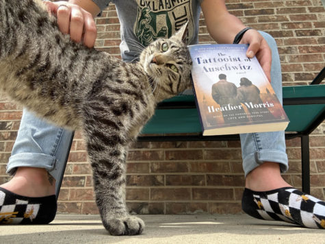 While reading The Tattooist of Auschwitz outside, a friendly feline approached to learn more about the book. What are Emilys (and the cats) thoughts on the book?