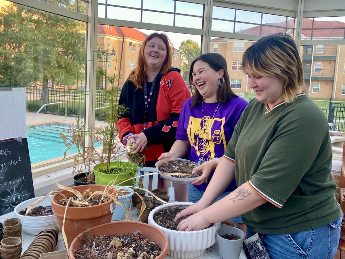 Lis Taylor, Jocie Shelton, and Kaiti McGuire replant plants into new pots in the Lawson Clubhouse Greenhouse.