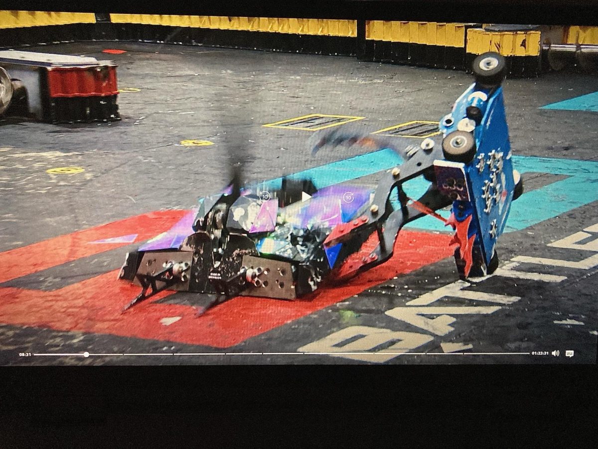 In a quick movement, one bot flips the other in hopes to win the round. 