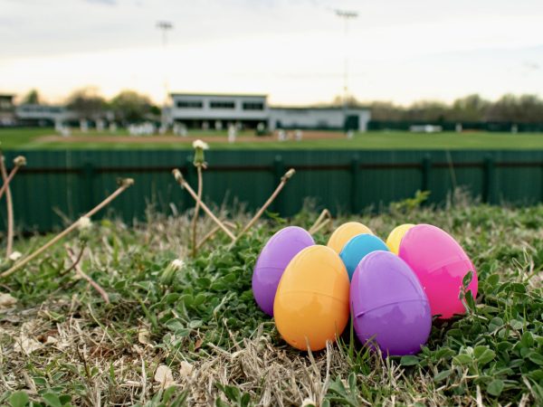 In prepration for Dustys Diamond Dash, Laura Barrios Bardi hides a few eggs around the baseball field.