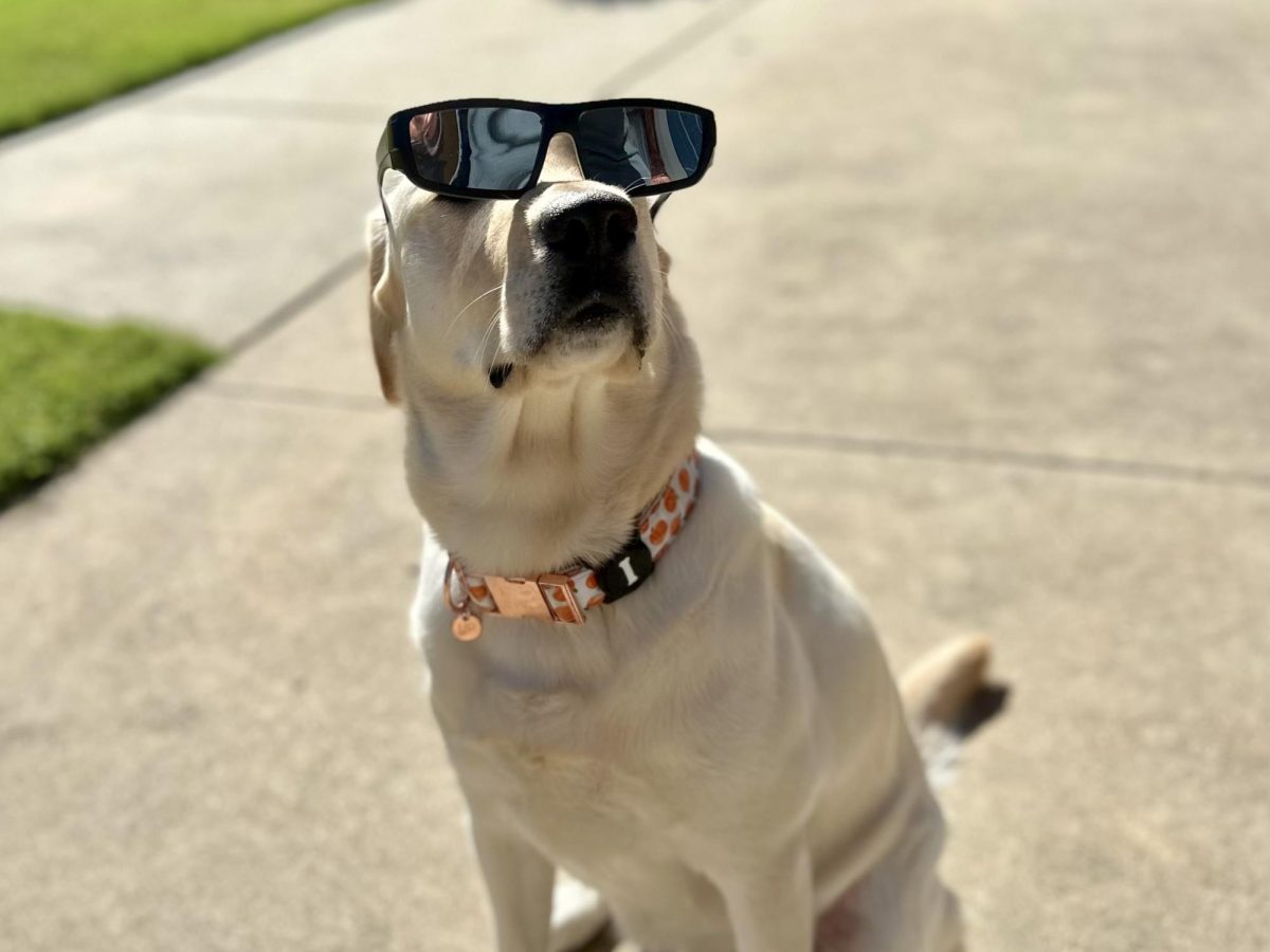 Elyanne Kenney and her dog, Luna are prepared for the upcoming total solar eclipse. The pair know how important proper eye protection is to prevent damage.