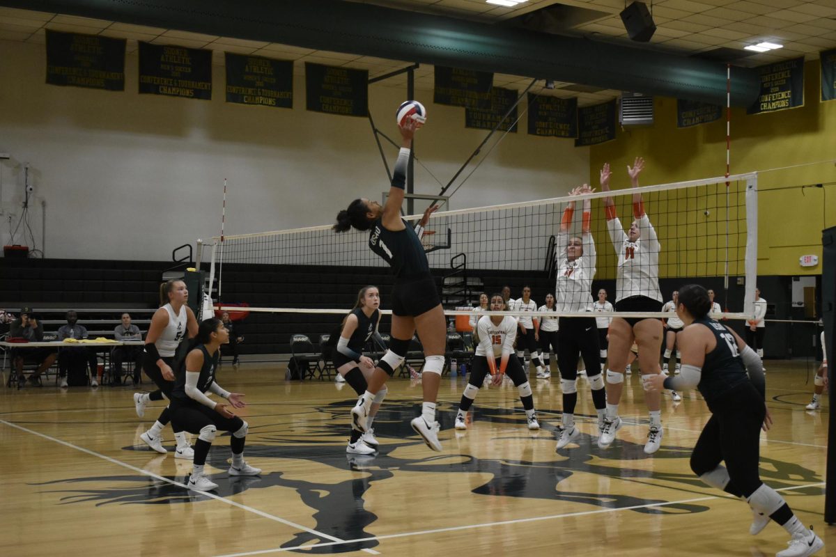 Junior outside hitter Laura Barrios Bardi prepares for a big hit against ECU.