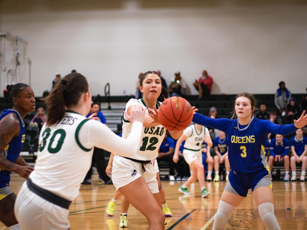 Sophomore Caroliena Diaz passes the ball to sophomore Devynn Harris during their matchup against Wayland Baptist University earlier this season. 