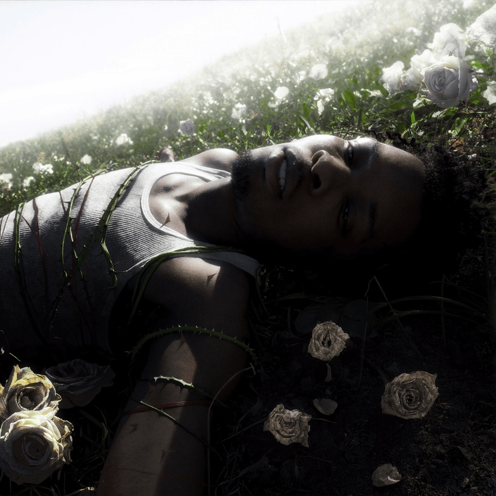 Artist d4vd released his debut album "Withered" on April 25.